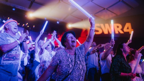 Konzert der Hermes House Band beim SWR4 Festival 2025 in Wörth