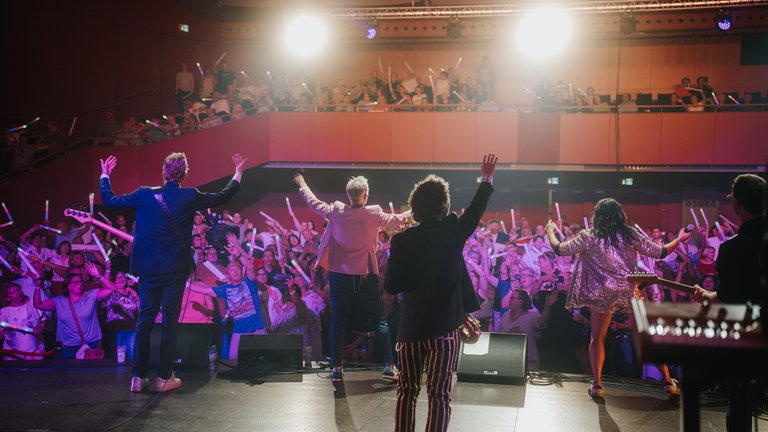 Konzert der Hermes House Band beim SWR4 Festival 2025 in Wörth