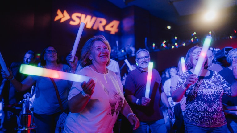 Konzert der Hermes House Band beim SWR4 Festival 2025 in Wörth