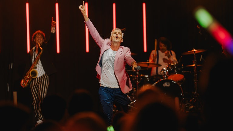 Konzert der Hermes House Band beim SWR4 Festival 2025 in Wörth