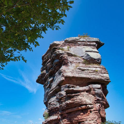 Rundwanderweg Annweilerer Burgenweg im Pfälzerwald: Reste der Burg Anebos ragen in die Luft.