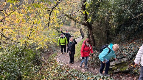 Wanderer der Aktion "SWR4 wanden mit SWR4 Moderator Stefan Nink einen steilen Pfad entlang. 