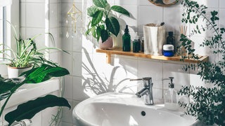 Ideen für Pflanzen als Deko im Badezimmer: Verschiedene grüne Pflanzen schmücken das Bad rund ums Waschbecken.