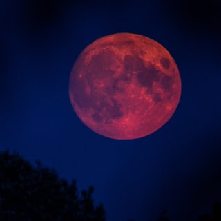 Ein rot leuchtender Mond am Nachthimmel über einem dunklen Wald