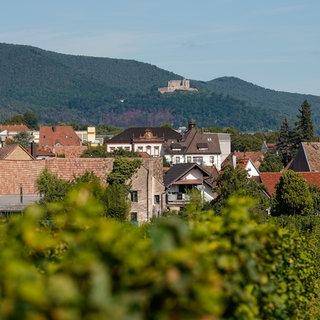 Rheinland-Pfalkz-Tag 2025 in Neustadt an der Weinstraße
