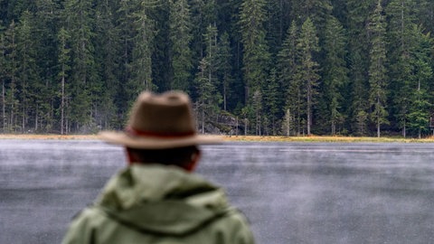 Ein Mann schaut in Richtung eines Waldes