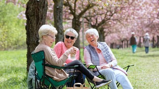 In der Rente: Drei Seniorinnen sitzen in Berlin im Park und genießen ihr Leben nach dem Job.