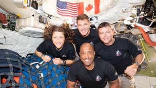 Dieses von der NASA zur Verfügung gestellten Bild zeigt die "Artemis 2": Crew Christina Koch (l), Jeremy Hansen (oben), Reid Wiseman (r) und Victor Glover in der "Orion"-Kapsel.