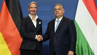 Alice Weidel, die Kanzlerkandidatin der AfD, und der abgewählte ungarische Ministerpräsident Viktor Orban schütteln sich während einer Pressekonferenz nach ihrem Treffen im Regierungssitz in Budapest die Hände.