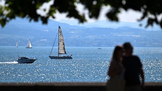 Boote fahren und segeln auf dem Bodensee. Die Sonne glitzert auf dem Wasser. Im Vordergrund verdecken ein paar Blätter von überhängenden Ästen den Himmel.