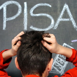 Ein Schüler rauft sich die Haare vor einer Kreidetafel, auf der das Wort PISA geschrieben steht.