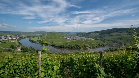 Zarte Wolken schweben über der Gemeinde Trittenheim, der Mosel und den Weinbergen