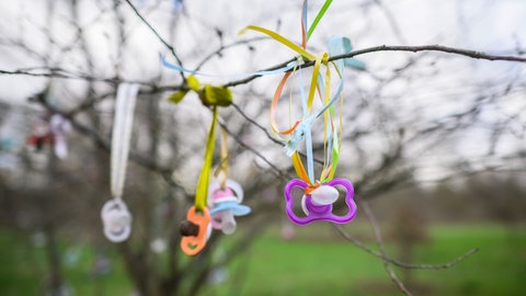Schnuller hängen am Ast eines Baumes. Unter anderem gibt es jetzt Änderungen beim Elterngeld. Was sonst noch wichtig ist für Rheinland-Pfalz und Baden-Württemberg im April. 