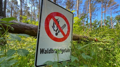 Ein Schild mit der Aufschrift "Waldbrandgefahr" steht im Wald.