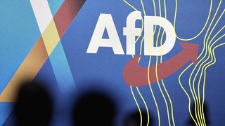 Blick in die Halle eines AfD-Bundesparteitages. Die Einstufung der AfD als “gesichert rechtsextremistisch” könnte für mehr als 20 rheinland-pfälzische AfD-Mitglieder im Staatsdienst möglicherweise dienstrechtliche Konsequenzen haben.