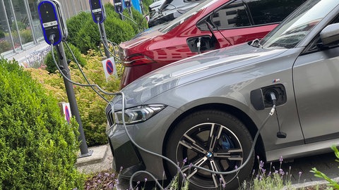 E-Autos werden auf einem Parkplatz voller Ladesäulen geladen. Pkw mit Stecker werden immer mehr privat gekauft - vor allem von Jüngeren. Der Anteil an E-Autobesitzern in Baden-Württemberg und Rheinland-Pfalz liegt über dem Bundesdurchschnitt.