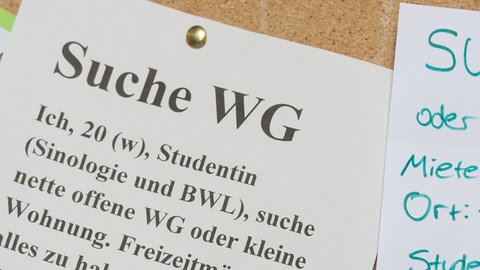 Studenten suchen mit Zetteln an einem Schwarzen Brett eine Wohnung. Die Mieten für WG-Zimmer werden immer teurer. Bundesweit kosten die im Sommersemester über 500 Euro.