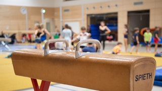 Ein Pauschenpferd steht während eines Turntrainings in einer Sporthalle. Im Hintergrund sind Kinder beim Training.