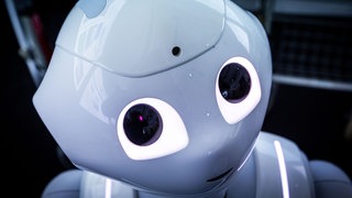 Der Pepper-Roboter der Firma Aldebaran Robotics wurde von Rostocker Wissenschaftlern für die Betreuung von Schlaganfallpatienten programmiert.