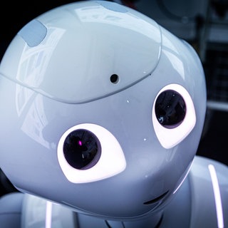 Der Pepper-Roboter der Firma Aldebaran Robotics wurde von Rostocker Wissenschaftlern für die Betreuung von Schlaganfallpatienten programmiert.