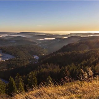 Biosphärengebiet Schwarzwald