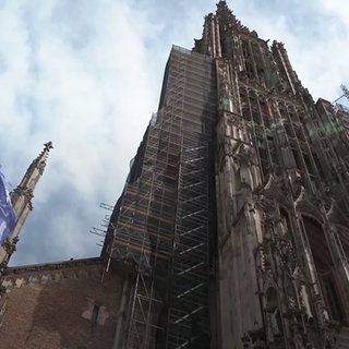 Ulmer Münster von Unten