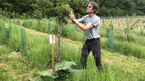 Sabine Schütze-Kurth