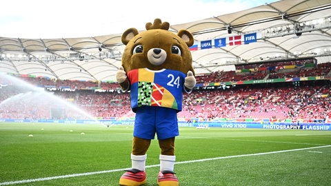 Fußball: EM, Slowenien - Dänemark, Vorrunde, Gruppe C, Spieltag 1, Stuttgart Arena, das Maskottchen Albärt steht vor dem Spiel auf dem Rasen.