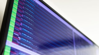 Ein Monitor zeigt die Ausschläge im Erdbeben-Messnetz des Landeserdbebendienst an.