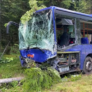 Busunfall Enzkreis