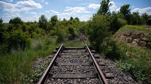 Das Gleis einer stillgelegten Bahnstrecke zwischen Ludwigsburg und Markgröningen endet im Grünen, umgeben von Pflanzen