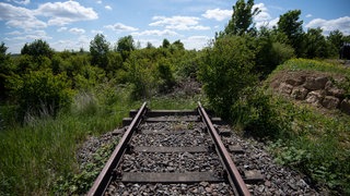 Das Gleis einer stillgelegten Bahnstrecke zwischen Ludwigsburg und Markgröningen endet im Grünen, umgeben von Pflanzen