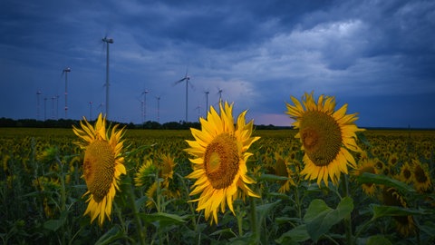 Das Land Baden-Württemberg rennt seinen ambitionierten Klimazielen hinterher.