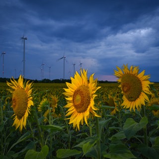 Das Land Baden-Württemberg rennt seinen ambitionierten Klimazielen hinterher.