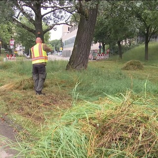 Probleme beim Mähen