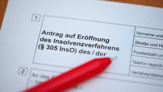 Ein Kugelschreiber liegt auf einem Antrag zur Eröffnung eines Insolvenzverfahrens. Die Zahl der Insolvenzen hat im ersten Halbjahr 2024 stark zugenommen.