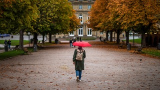 Eine Frau geht mit ihrem Regenschirm bei regnerischem Wetter durch eine Baumallee am Schlossplatz.