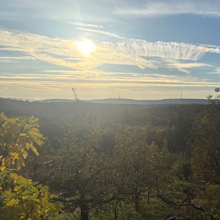 Ausblick auf Bäume und Sonnenschein in Stuttgart-Feuerbach von der Hohewart Richtung Kräherwald und Fernsehturm.