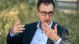 Cem Özdemir, Grüne