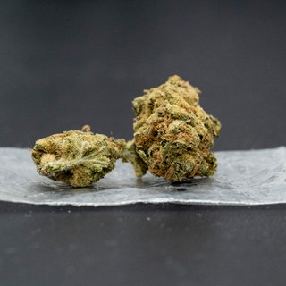 Eine Cannabisblüte liegt auf einem Plastikbeutel.