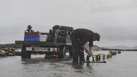 Lars steht im Wasser auf der Austernfarm. Er muss die Gehänge vorbereiten, wo die neuen Körbe mit Austern befestigt werden. Im Hintergrund sieht man seinen Schwiegervater, dem die Farm gehört.