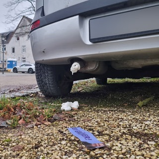 Ein Auto von hinten, in dessen Auspuff Bauschaum gesprüht wurde. 