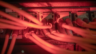Symbolbild | Glasfaserkabel führen zu einem Internet Switch in einem Serverraum.