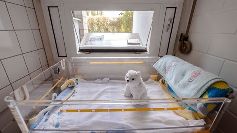 Blick auf die geöffnete Babyklappe in Karlsruhe.