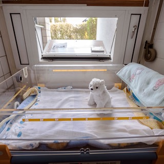 Blick auf die geöffnete Babyklappe in Karlsruhe.