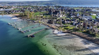 Niedriger Bodensee-Wasserstand am Hafen der Insel Reichenau. 