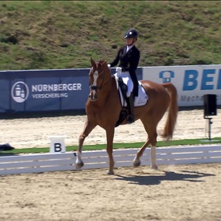 Reiten: Maimarkt-Turnier Mannheim 2025