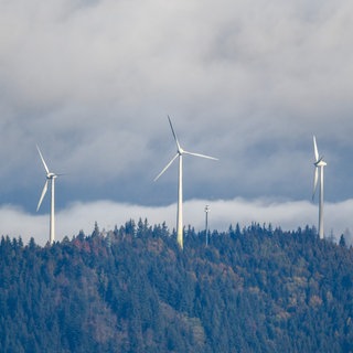 Drei Windräder stehen im Schwarzwald bei Freiburg auf einem Berg.