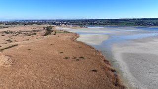Der Wasserstand des Bodensees ist auf einem niedrigen Stand. Rund um die Insel Reichenau wird das deutlich, hier beim Wollmatinger Ried (Aufnahme mit Drohne).