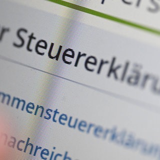 Die Eingabe des Steuerportals Elster, dargestellt auf einem Computerbildschirm.